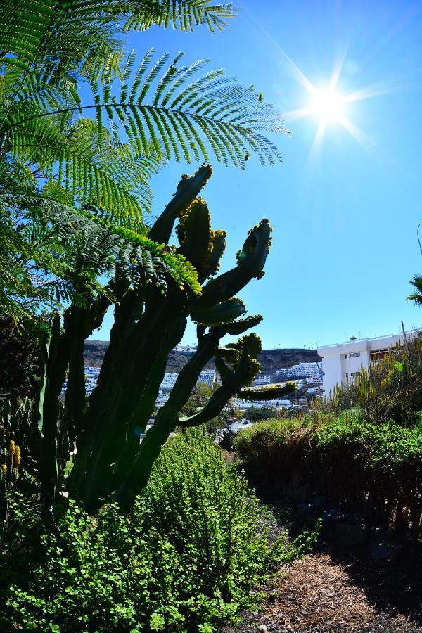 Apartamentos Puerto Bello プエルトリコ エクステリア 写真